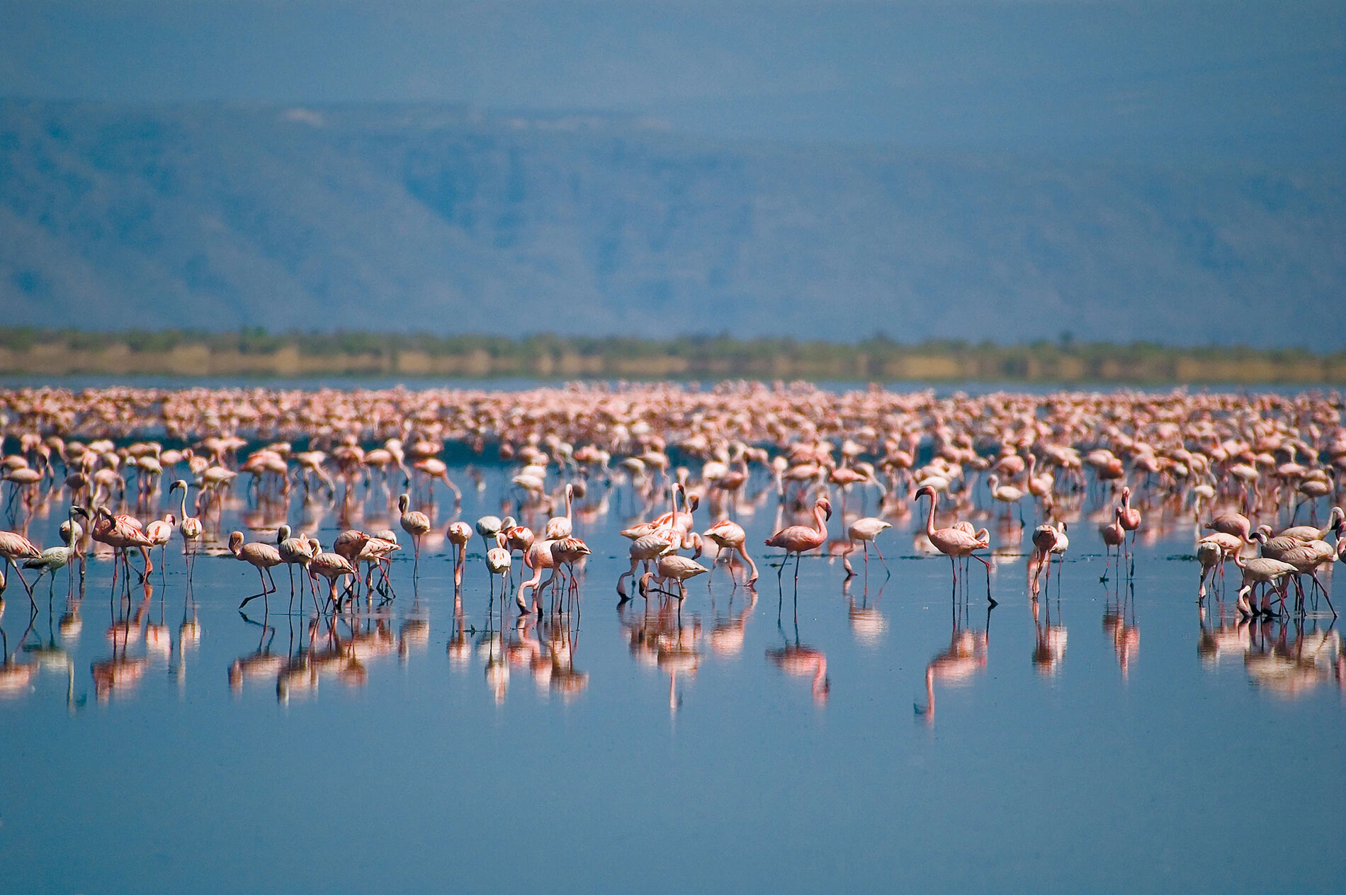 Lake Natron
