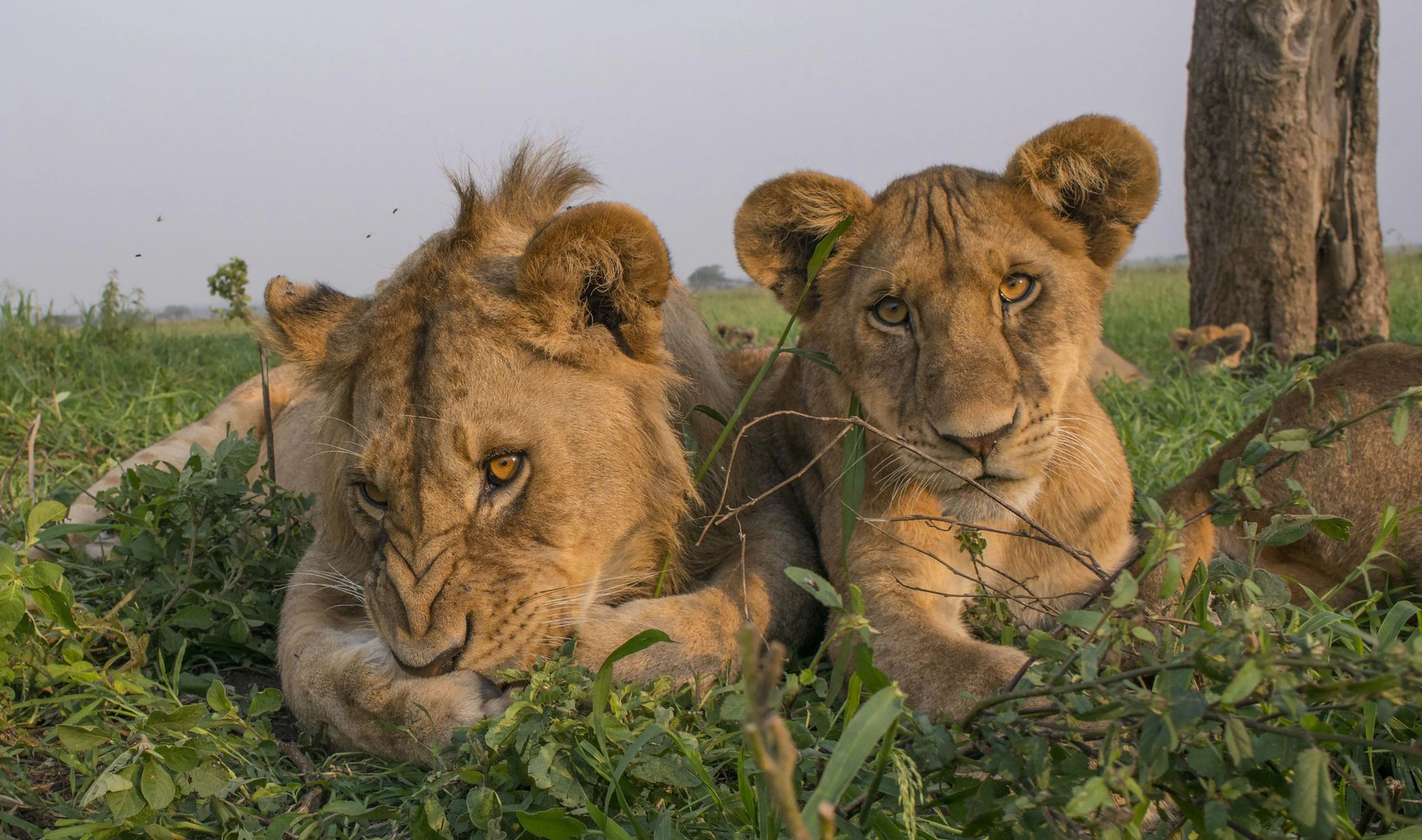 Explore Tanzania