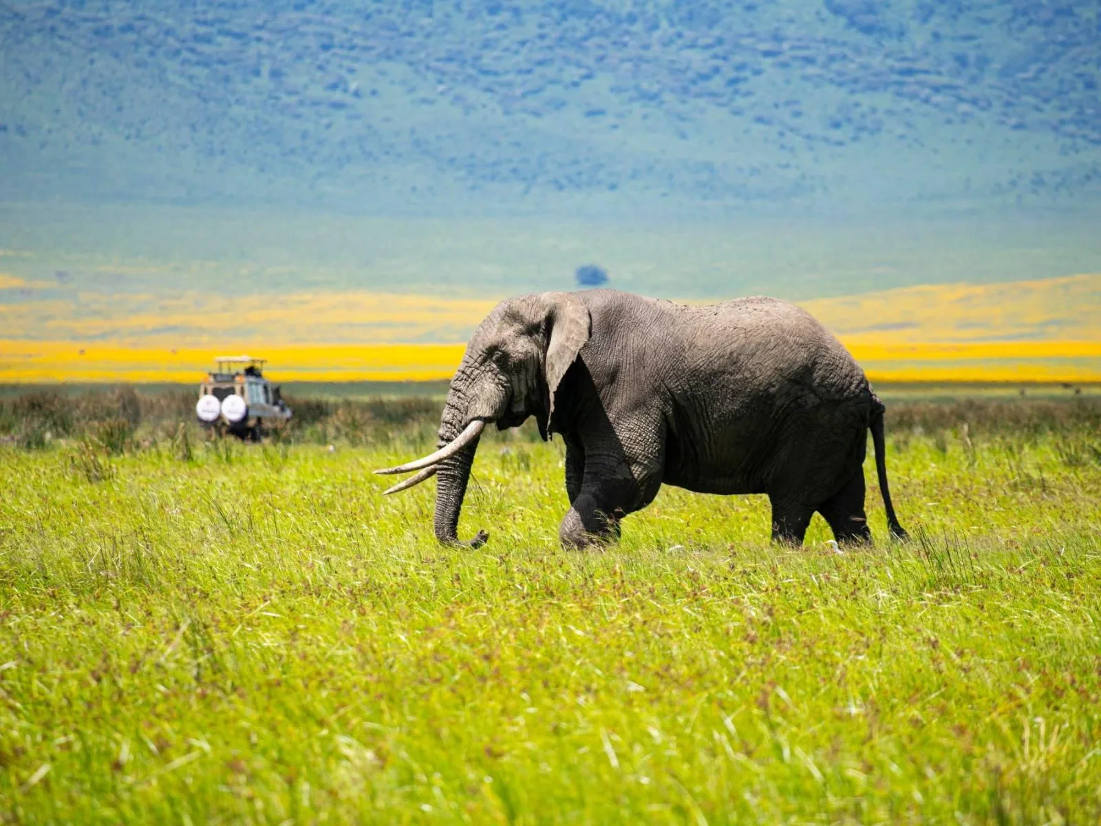 10-Day Wildlife Photography Safari