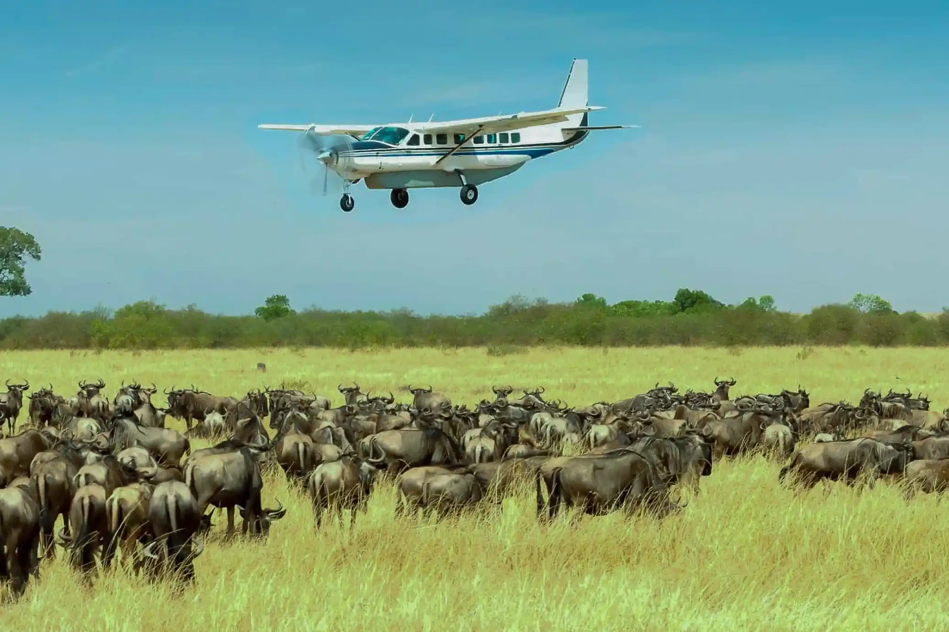 6-Day Luxury Fly-In Safari