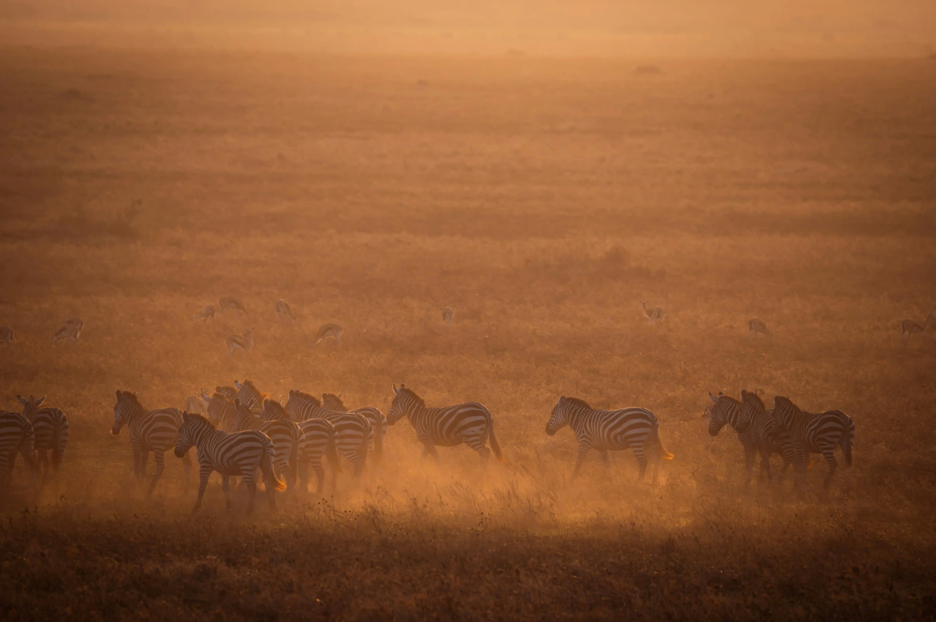 12-Day Kilimanjaro Climb & Safari - Slide 3