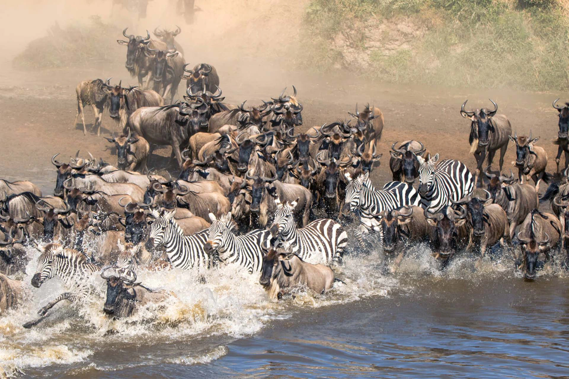 9-Day Great Migration Safari - Slide 4